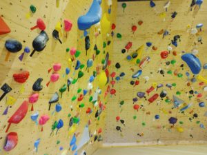 WONDER WALL（ワンダー ウォール）